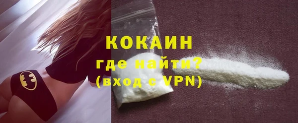МДПВ Пересвет