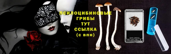 МДПВ Пересвет