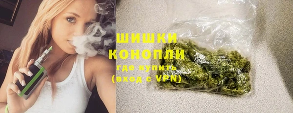 соль ск Пестово