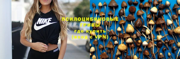 МДПВ Пересвет