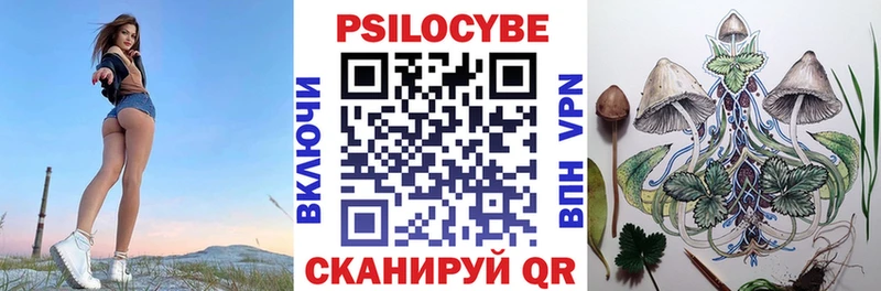 Псилоцибиновые грибы Psilocybine cubensis  Купить  Артёмовск 